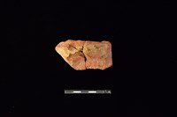 藏品(陶片)的圖片